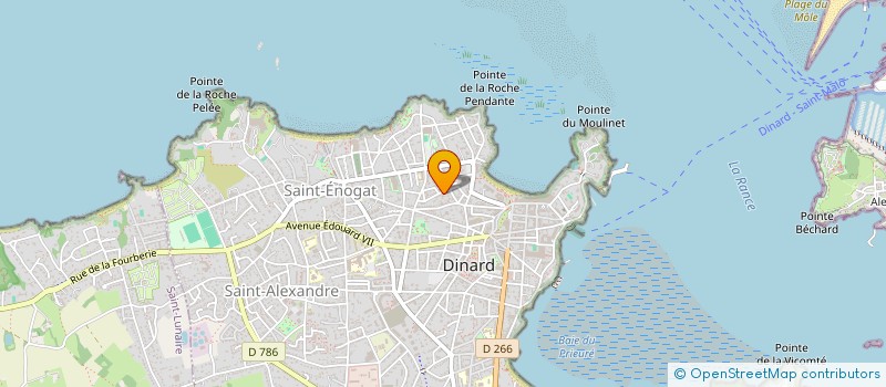 localisation de l'entreprise MONSIEUR FLORENT DE NAYER  DINARD