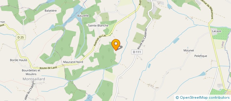 localisation de l'entreprise MONSIEUR FLORENT IRAGUE  LAVIT