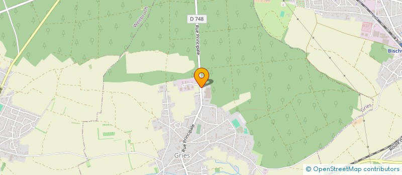 localisation de l'entreprise MONSIEUR FLORENT LUCHS  ILLZACH