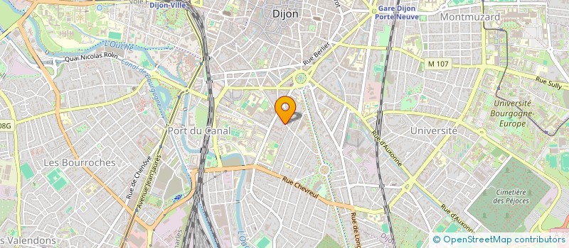 localisation de l'entreprise MONSIEUR FLORENT LUMBROSO  DIJON