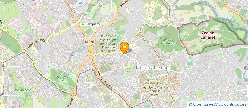 localisation de l'entreprise MONSIEUR FLORENT MARCETEAU à MONTPELLIER