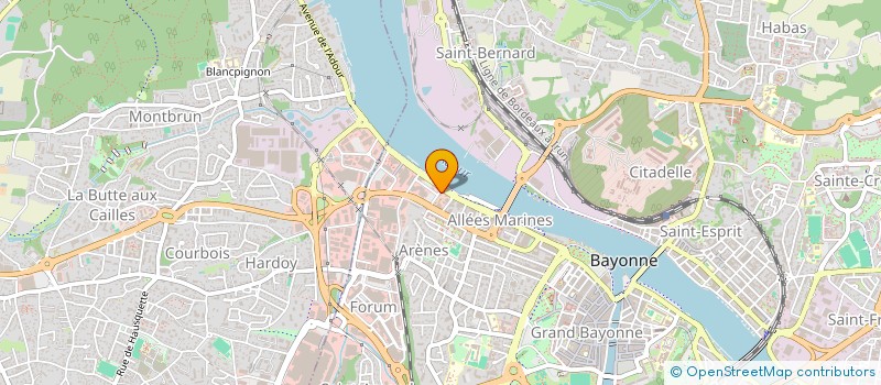 localisation de l'entreprise MONSIEUR FLORENT TURPAULT  BAYONNE