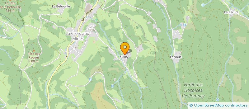 localisation de l'entreprise MONSIEUR FLORENTIN SCHALLER  LA CROIX-AUX-MINES