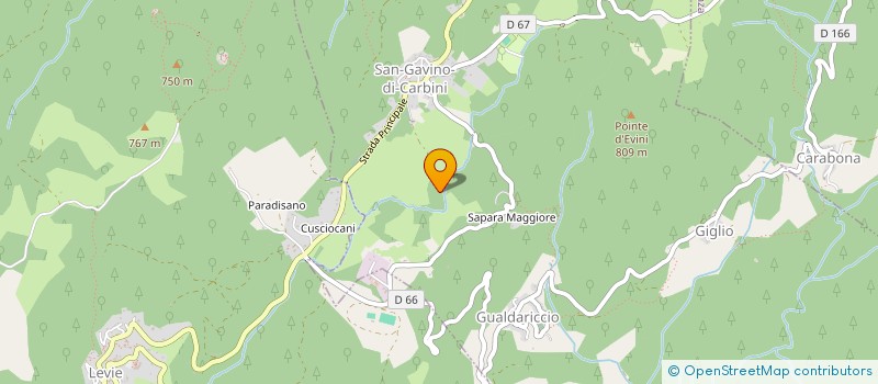 localisation de l'entreprise MONSIEUR FLORENTIN WASSELIN  SAN-GAVINO-DI-CARBINI