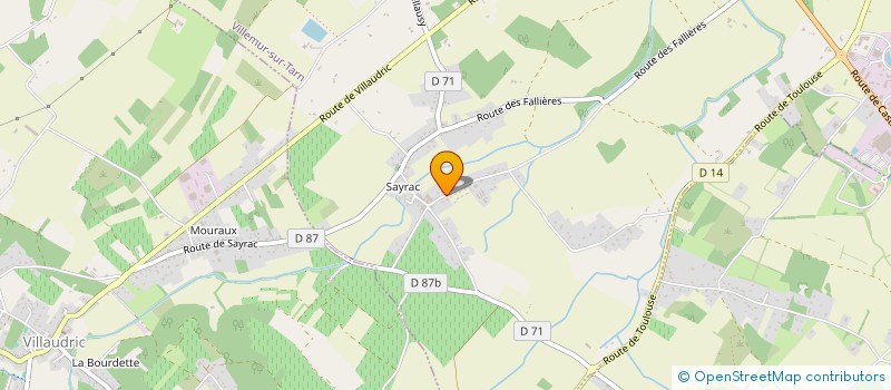 localisation de l'entreprise MONSIEUR FLORIAN ALIDOR  VILLEMUR-SUR-TARN