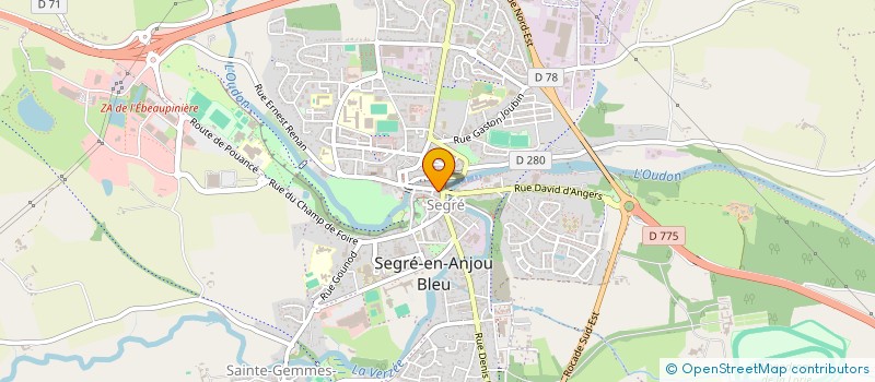 localisation de l'entreprise MONSIEUR FLORIAN CRETOIS à SEGRE-EN-ANJOU BLEU