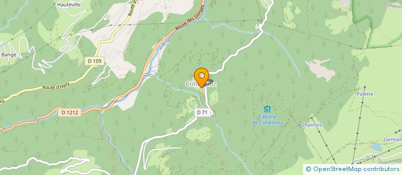 localisation de l'entreprise MONSIEUR FLORIAN CUSIN-MERMET  COHENNOZ