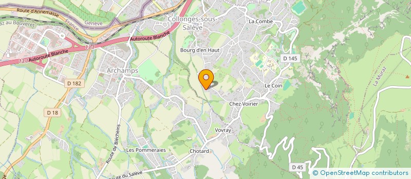 localisation de l'entreprise MONSIEUR FLORIAN GALLICE  COLLONGES-SOUS-SALEVE