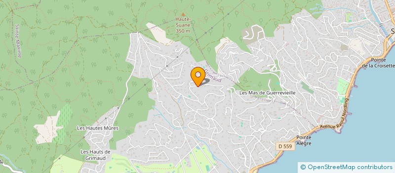 localisation de l'entreprise MONSIEUR FLORIAN GRAS  GRIMAUD