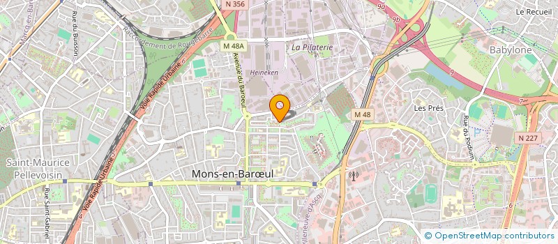 localisation de l'entreprise MONSIEUR FLORIAN HOUZET  MONS-EN-BARUL