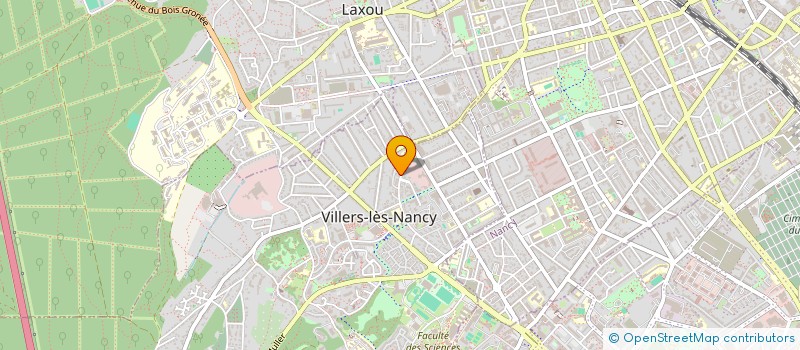 localisation de l'entreprise MONSIEUR FLORIAN IGOULEN  VILLERS-LES-NANCY