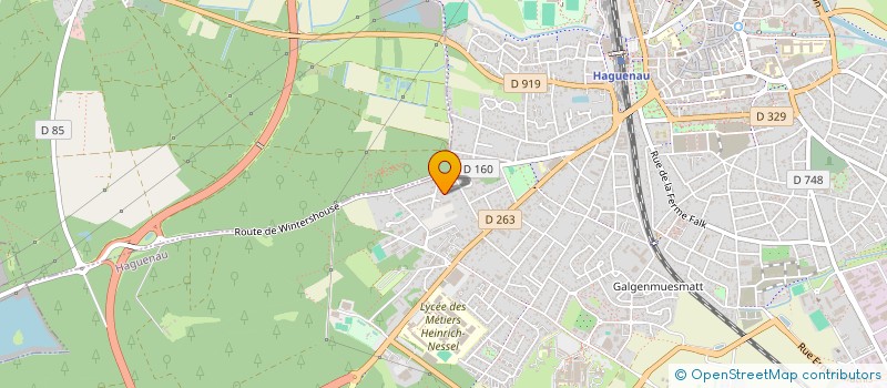 localisation de l'entreprise MONSIEUR FLORIAN LANNO  HAGUENAU