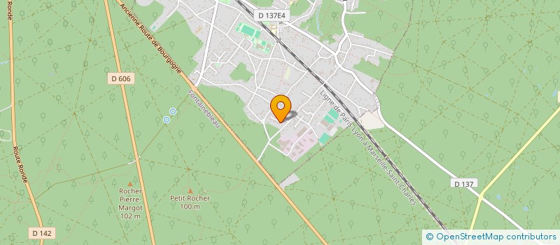 localisation de l'entreprise MONSIEUR FLORIAN LANZI  BOIS-LE-ROI