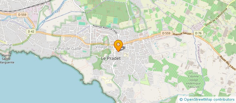 localisation de l'entreprise MONSIEUR FLORIAN LUCCHINI  LE PRADET