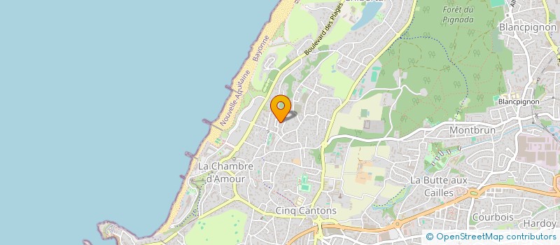 localisation de l'entreprise MONSIEUR FLORIAN MIOT BRUNEAU à ANGLET