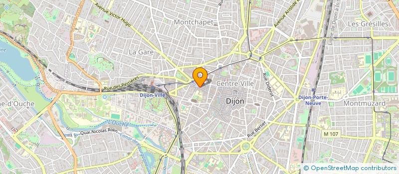 localisation de l'entreprise MONSIEUR FLORIAN TIXIER  DIJON