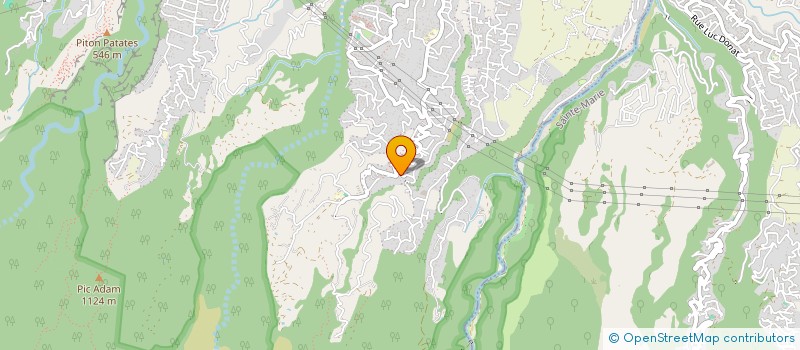 localisation de l'entreprise MONSIEUR FLORIAN VALLY  SAINT-DENIS