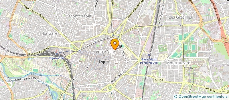 localisation de l'entreprise MONSIEUR FLORIAN VERNIERS à DIJON