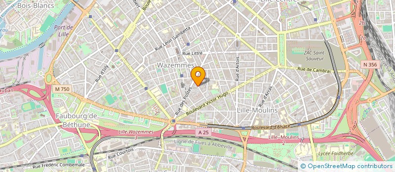 localisation de l'entreprise MONSIEUR FLORIAN VIRLY à LILLE