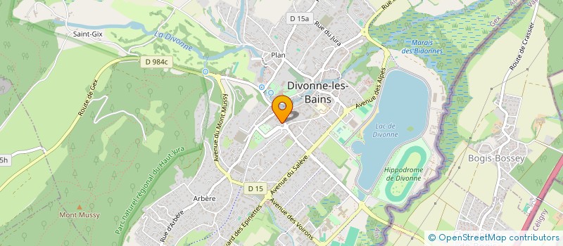 localisation de l'entreprise MONSIEUR FLORIAN ZAZZI à DIVONNE-LES-BAINS
