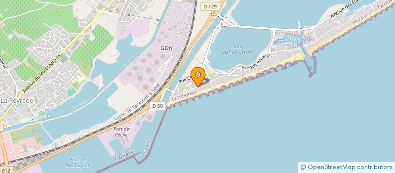 localisation de l'entreprise MONSIEUR FLORIMOND SAYA à FRONTIGNAN