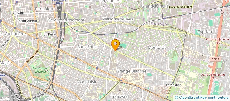 localisation de l'entreprise MONSIEUR FLURIM PINTOLLI  LYON