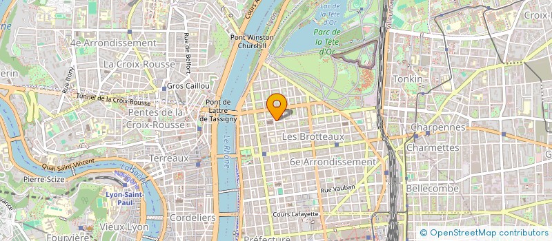 localisation de l'entreprise MONSIEUR FLUTURIM BALIAJ  LYON