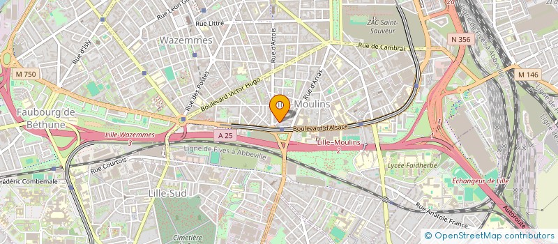 localisation de l'entreprise MONSIEUR FODE DIKINE à LILLE