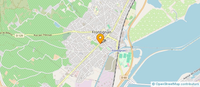 localisation de l'entreprise MONSIEUR FOUAD ALLAOUI à FRONTIGNAN