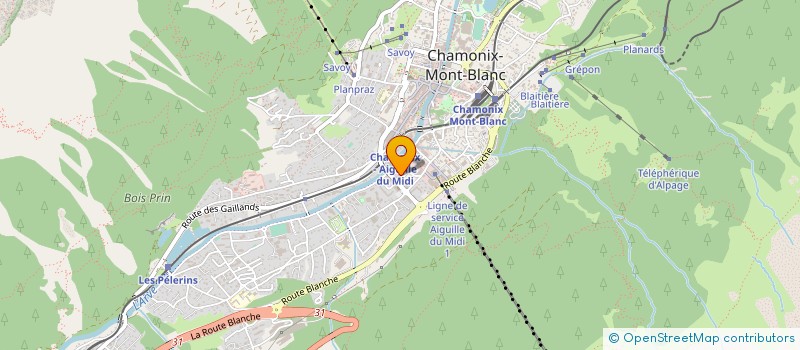 localisation de l'entreprise MONSIEUR FRANCESCO FARNIA  CHAMONIX-MONT-BLANC