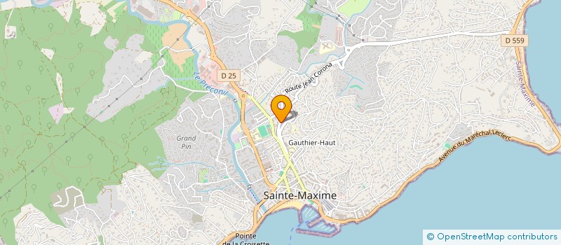 localisation de l'entreprise MONSIEUR FRANCESCO FESTA à SAINTE MAXIME