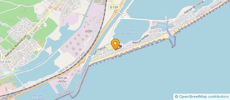 localisation de l'entreprise MONSIEUR FRANCESCO FIDALE à FRONTIGNAN