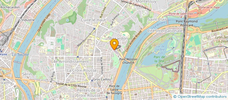 localisation de l'entreprise MONSIEUR FRANCESCO LEONARDI  LYON