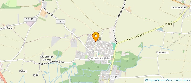 localisation de l'entreprise MONSIEUR FRANCIS BLANDIN  SALLES-SUR-MER