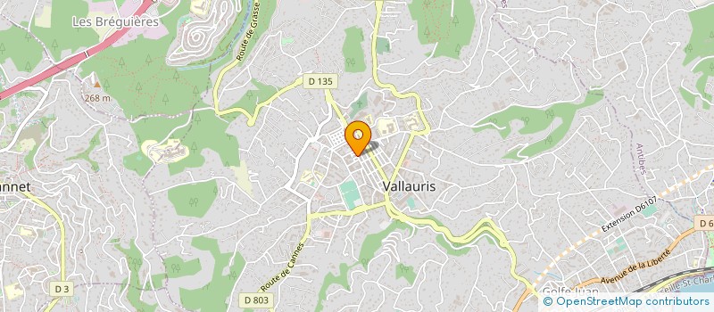 localisation de l'entreprise MONSIEUR FRANCIS BUGLIANI à VALLAURIS