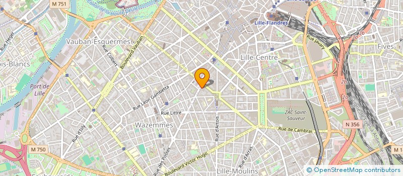localisation de l'entreprise MONSIEUR FRANCIS BUSEINE à LILLE
