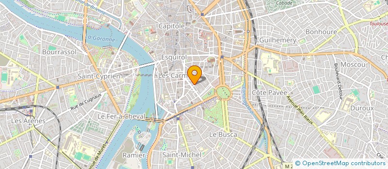 localisation de l'entreprise MONSIEUR FRANCIS CLAMENS à TOULOUSE