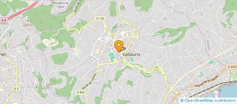 localisation de l'entreprise MONSIEUR FRANCIS COMPAS à VALLAURIS