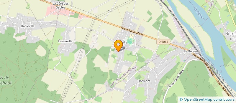 localisation de l'entreprise MONSIEUR FRANCIS CORMON  SAINT-PIERRE-LA-GARENNE