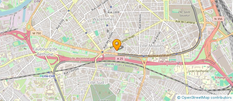 localisation de l'entreprise MONSIEUR FRANCIS DEFFRENNES à LILLE