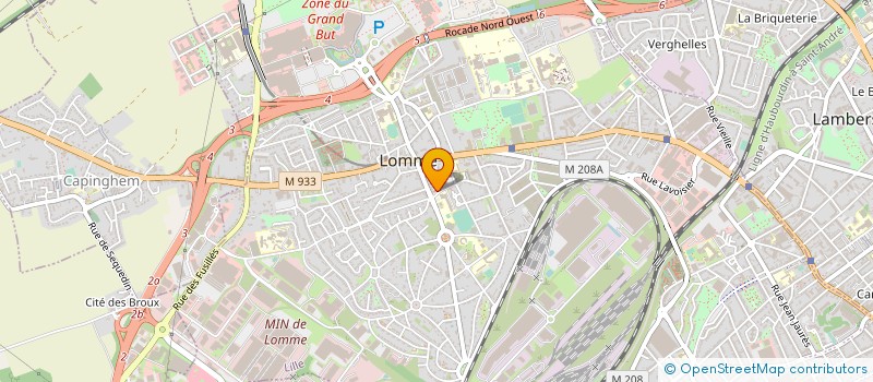 localisation de l'entreprise MONSIEUR FRANCIS DELELIS à LILLE