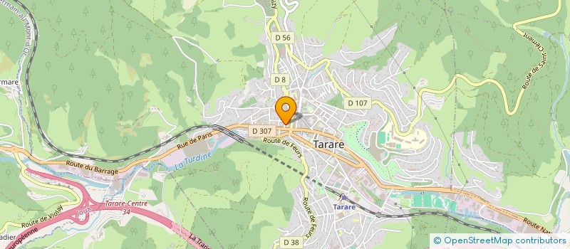 localisation de l'entreprise MONSIEUR FRANCIS DUBOIS  TARARE