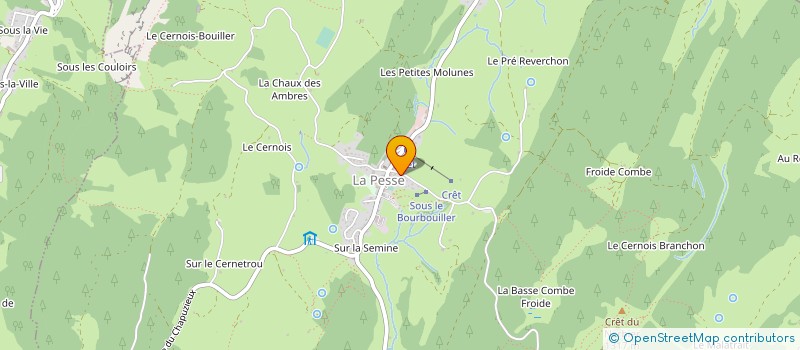 localisation de l'entreprise MONSIEUR FRANCIS EICHENLAUB  LA PESSE