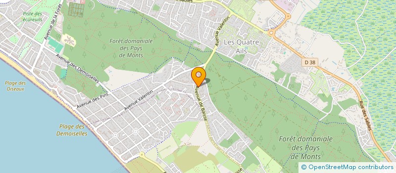 localisation de l'entreprise MONSIEUR FRANCIS ERISAY  SAINT-JEAN-DE-MONTS