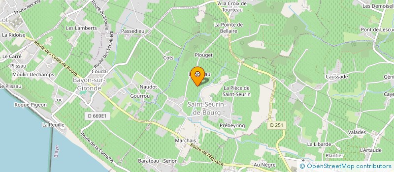 localisation de l'entreprise MONSIEUR FRANCIS FEILLON  SAINT-SEURIN-DE-BOURG