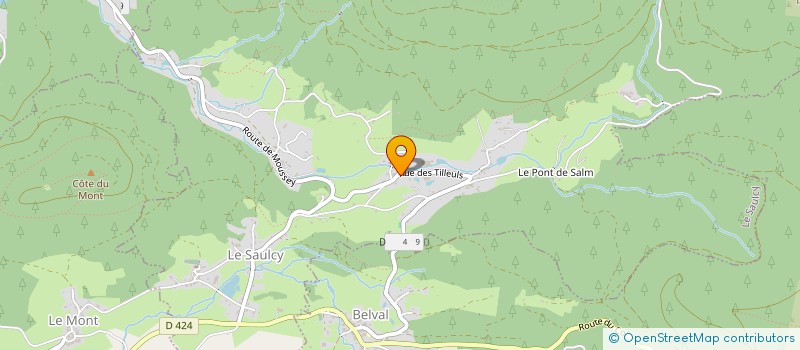 localisation de l'entreprise MONSIEUR FRANCIS GALY  LE SAULCY