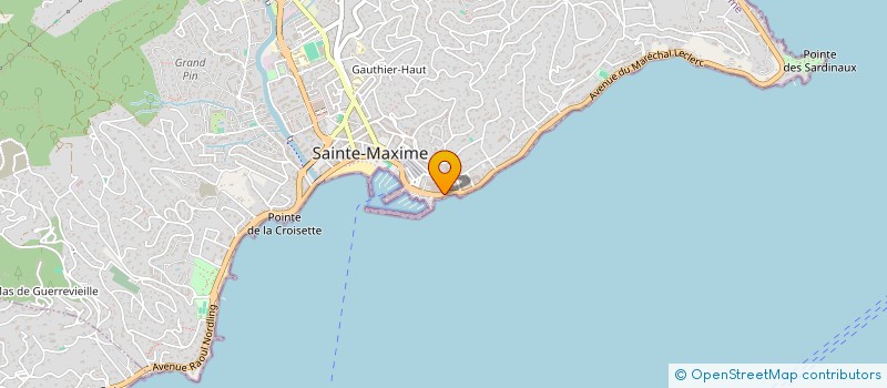 localisation de l'entreprise MONSIEUR FRANCIS GEORGI à SAINTE-MAXIME