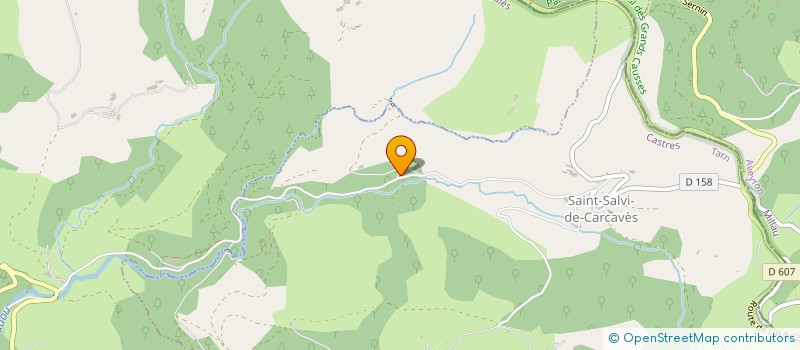 localisation de l'entreprise MONSIEUR FRANCIS HUC  SAINT-SALVI-DE-CARCAVES