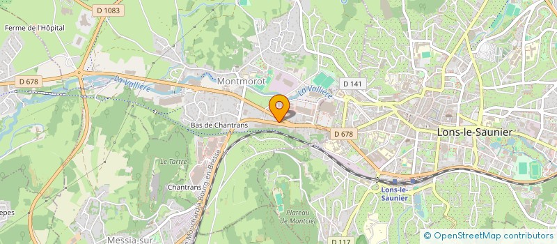 localisation de l'entreprise MONSIEUR FRANCIS LECHINE  MONTMOROT