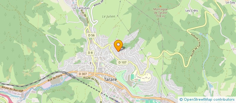 localisation de l'entreprise MONSIEUR FRANCIS MAINARD  TARARE